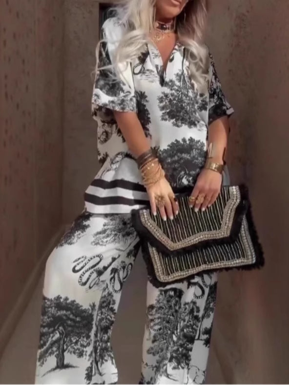 Set Casual cu Top cu Decolteu V cu Mâneci Scurte Imprimate și Pantaloni Largi